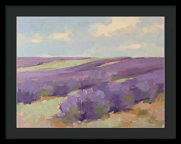 Fields Of Lavender Serenity