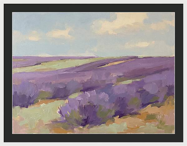 Fields Of Lavender Serenity