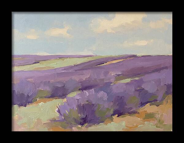 Fields Of Lavender Serenity