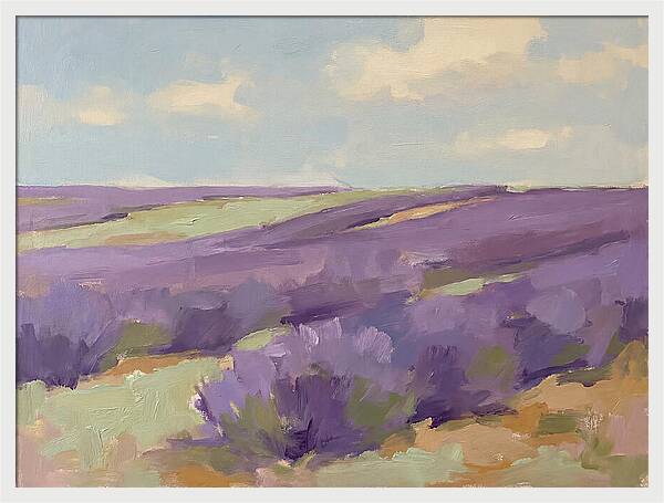 Fields Of Lavender Serenity