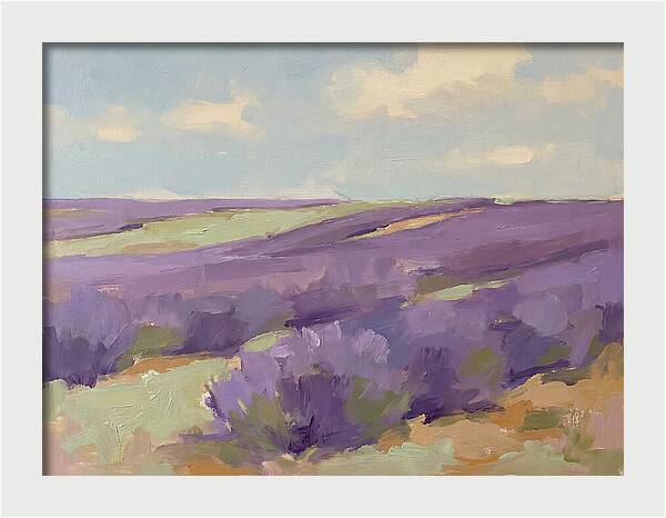 Fields Of Lavender Serenity