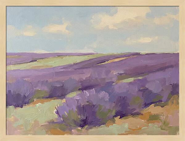 Fields Of Lavender Serenity
