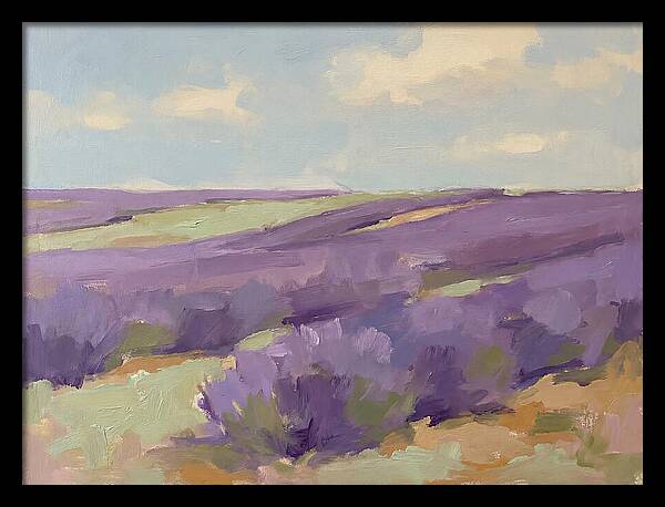 Fields Of Lavender Serenity
