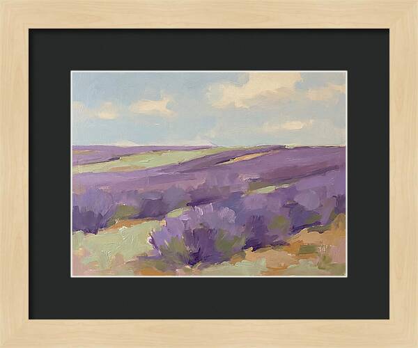 Fields Of Lavender Serenity