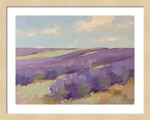Fields Of Lavender Serenity