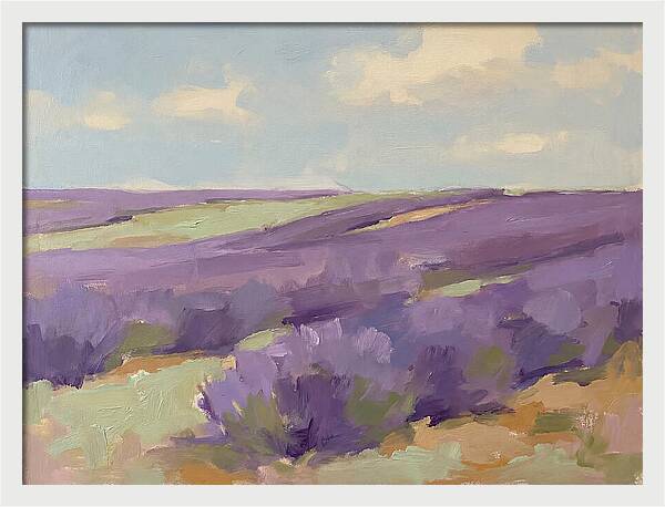 Fields Of Lavender Serenity