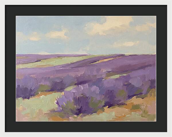 Fields Of Lavender Serenity
