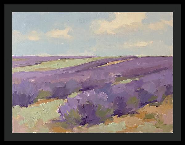 Fields Of Lavender Serenity