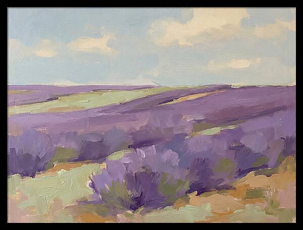 Fields Of Lavender Serenity