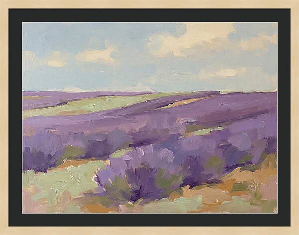 Fields Of Lavender Serenity