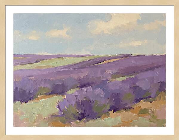 Fields Of Lavender Serenity
