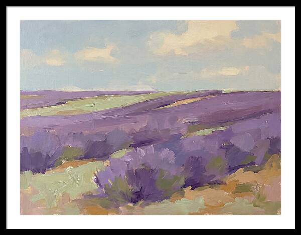 Fields Of Lavender Serenity