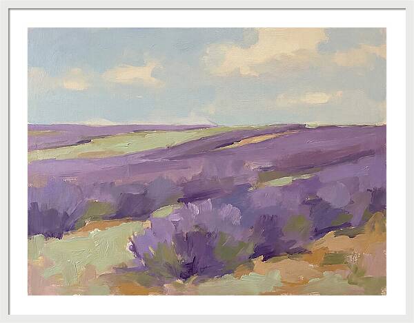 Fields Of Lavender Serenity