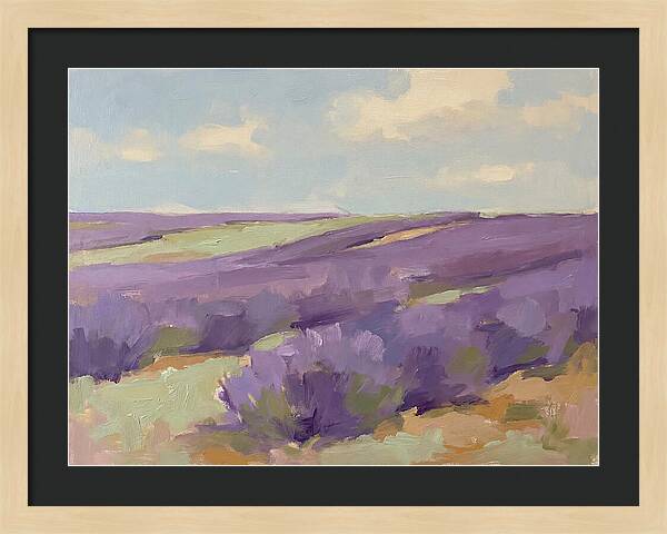 Fields Of Lavender Serenity