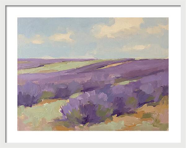 Fields Of Lavender Serenity