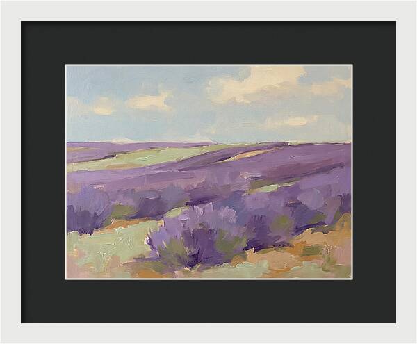 Fields Of Lavender Serenity
