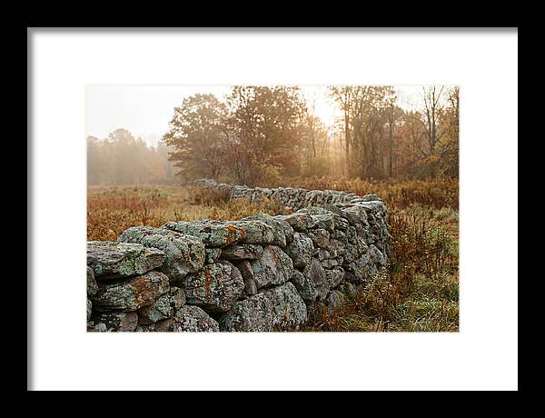 Fieldstone Wall Embraced By Autumn