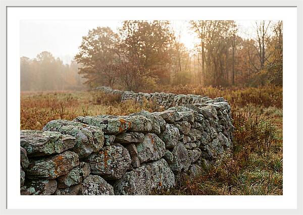 Fieldstone Wall Embraced By Autumn