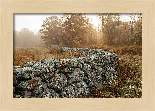 Fieldstone Wall Embraced By Autumn