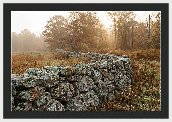 Fieldstone Wall Embraced By Autumn