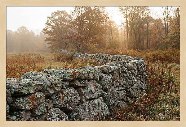 Fieldstone Wall Embraced By Autumn