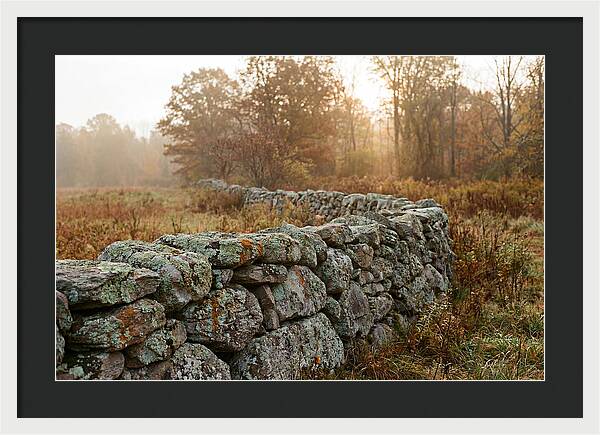 Fieldstone Wall Embraced By Autumn