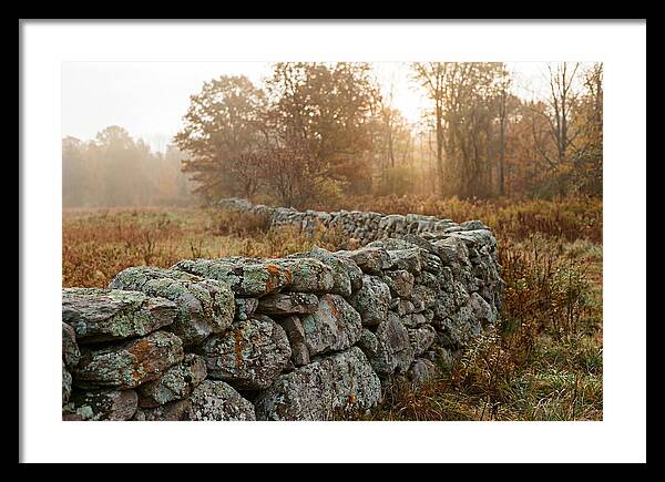 Fieldstone Wall Embraced By Autumn