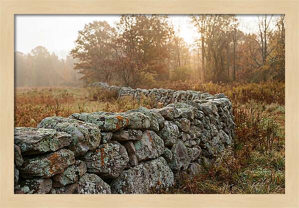 Fieldstone Wall Embraced By Autumn