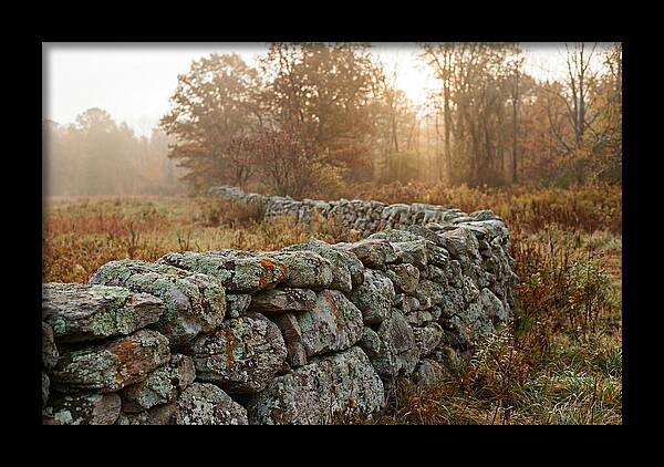 Fieldstone Wall Embraced By Autumn