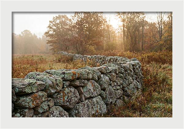 Fieldstone Wall Embraced By Autumn
