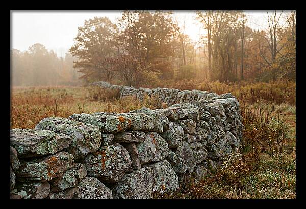 Fieldstone Wall Embraced By Autumn