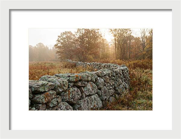 Fieldstone Wall Embraced By Autumn