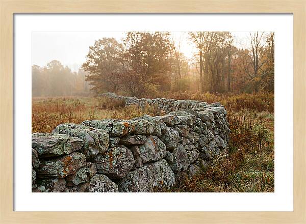 Fieldstone Wall Embraced By Autumn