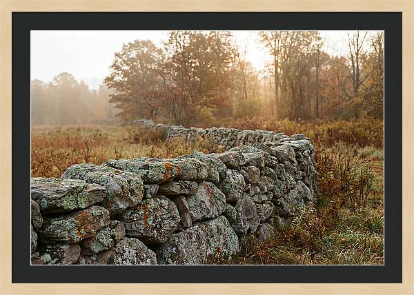 Fieldstone Wall Embraced By Autumn