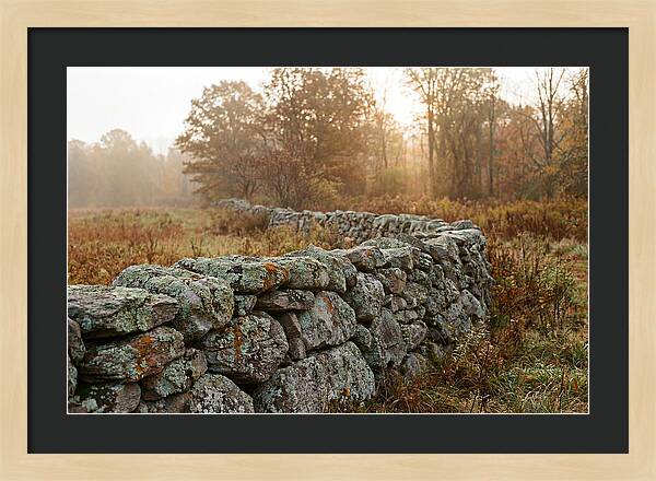 Fieldstone Wall Embraced By Autumn