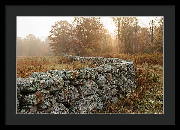 Fieldstone Wall Embraced By Autumn