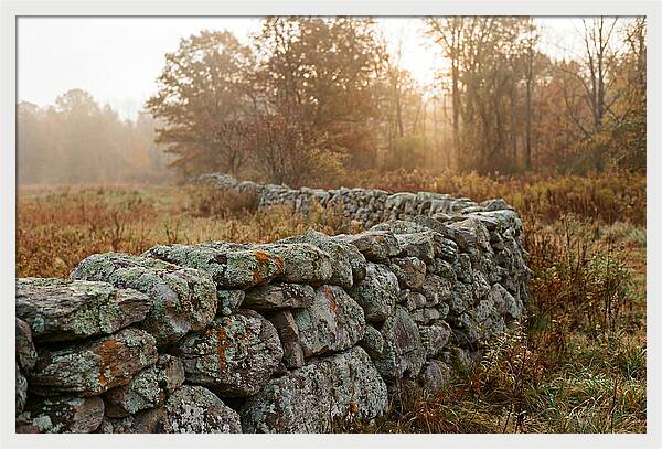 Fieldstone Wall Embraced By Autumn