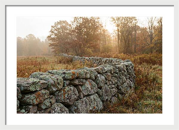 Fieldstone Wall Embraced By Autumn