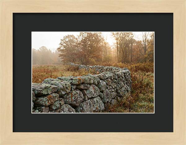Fieldstone Wall Embraced By Autumn