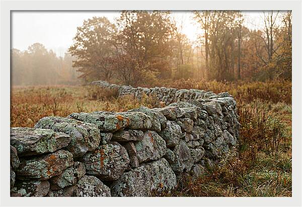 Fieldstone Wall Embraced By Autumn