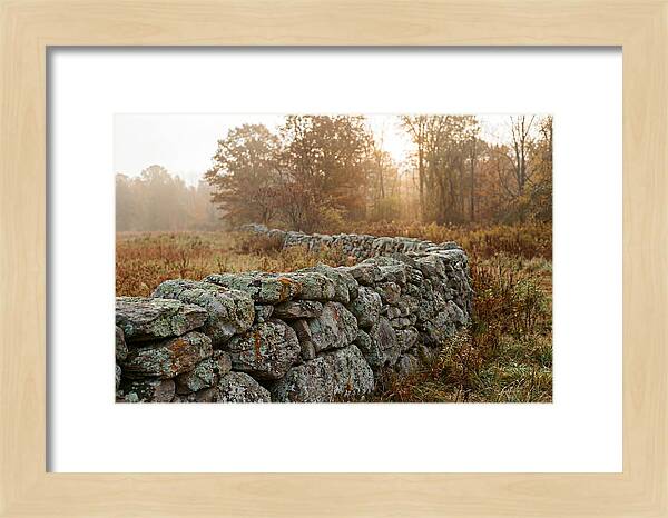 Fieldstone Wall Embraced By Autumn