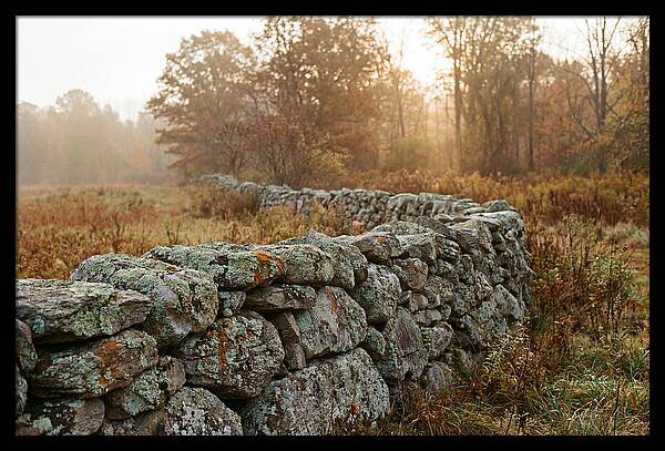 Fieldstone Wall Embraced By Autumn