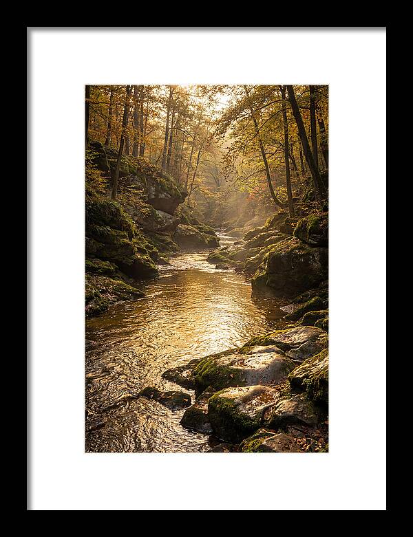 Fiery Gizzard Creek Serenity