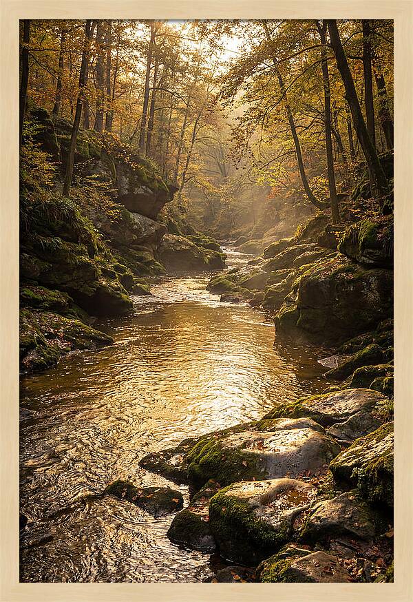 Fiery Gizzard Creek Serenity