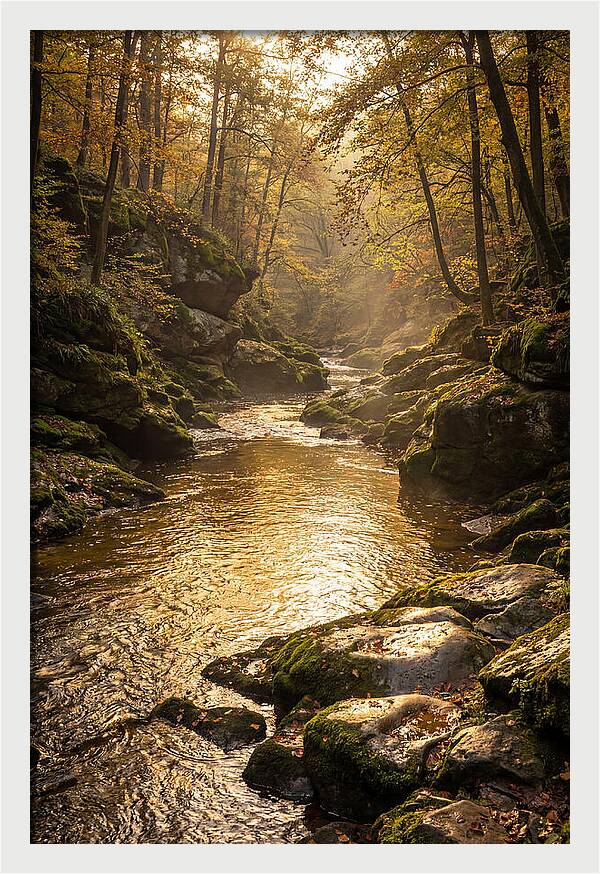 Fiery Gizzard Creek Serenity