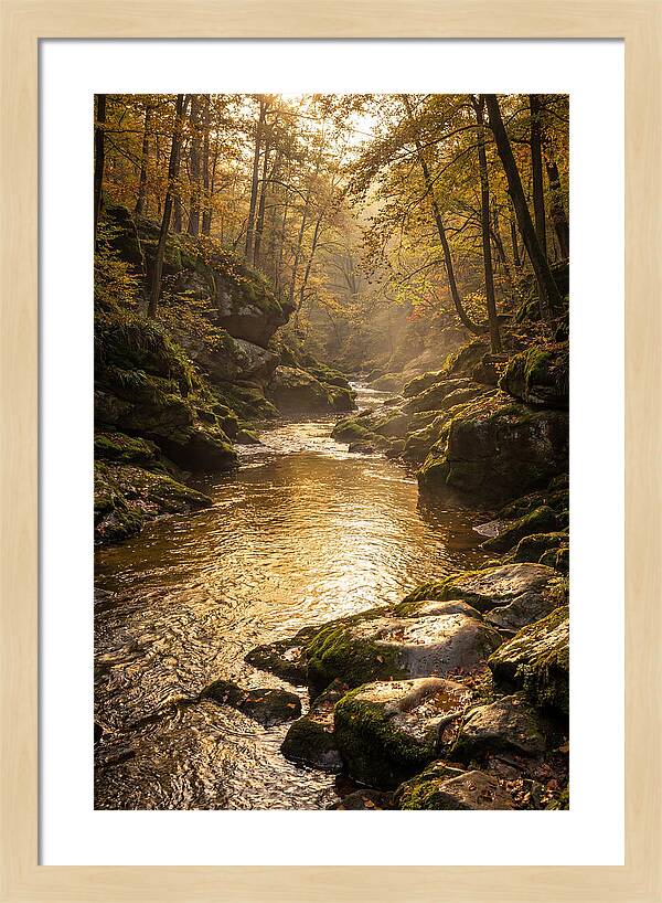 Fiery Gizzard Creek Serenity