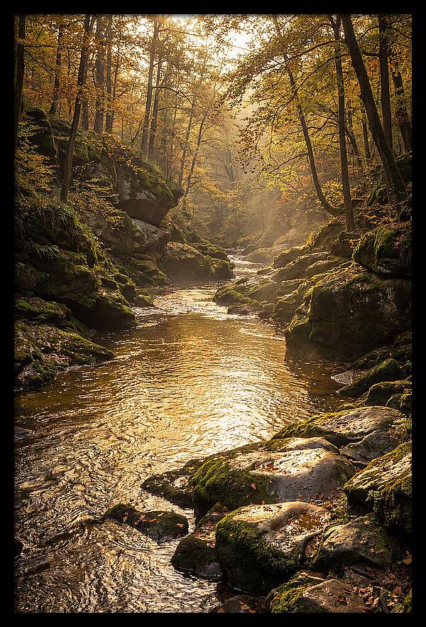 Fiery Gizzard Creek Serenity