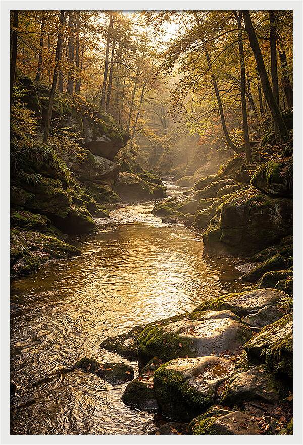 Fiery Gizzard Creek Serenity