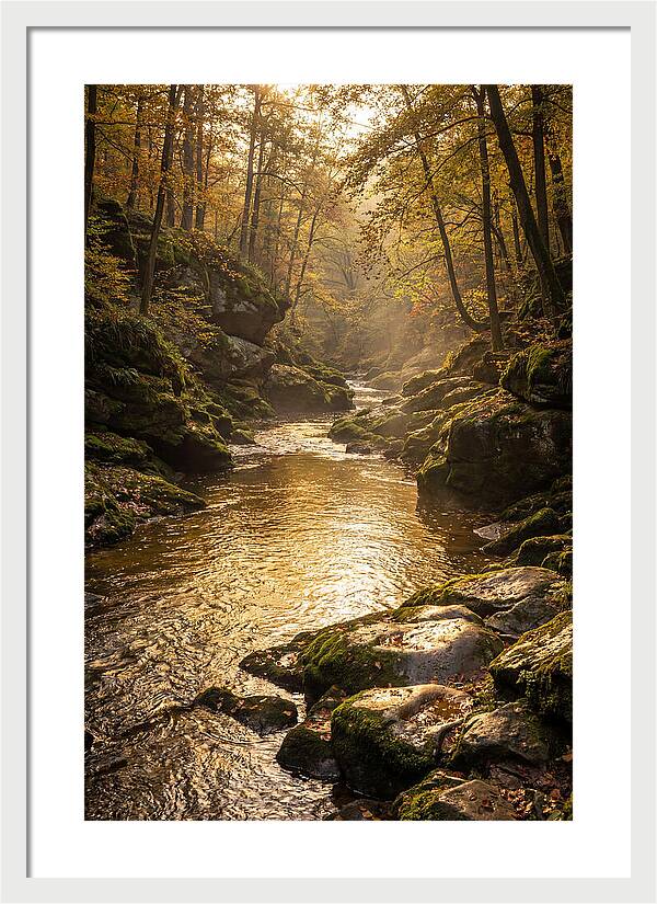 Fiery Gizzard Creek Serenity