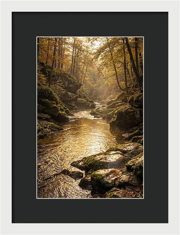 Fiery Gizzard Creek Serenity